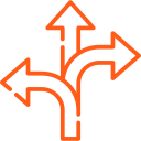 Curriculum Flexibility